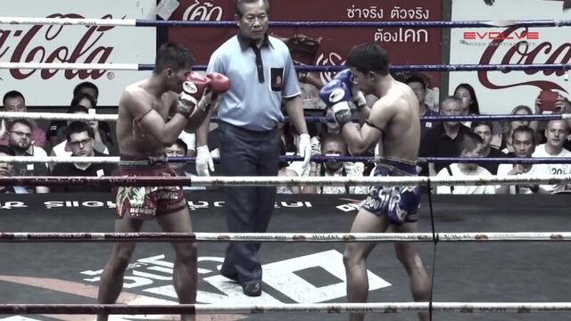 Muay thai_ fake knee elbow ko fight breakdown _ evolve university
