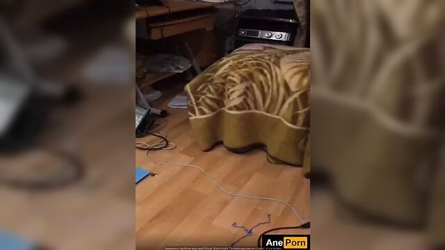 Sister caught flashing her big tits