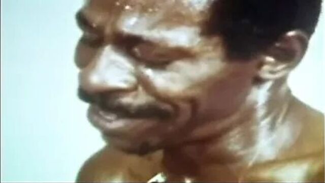 Vintage 1972 - monster black cocks 2