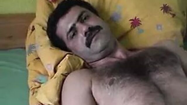 Orient bear - selahattin