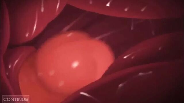 Zero suit samus vs. charizard