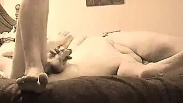 Fucking a granny bbw