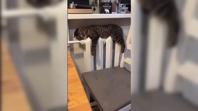 Мне этот мир абсолютно понятен 