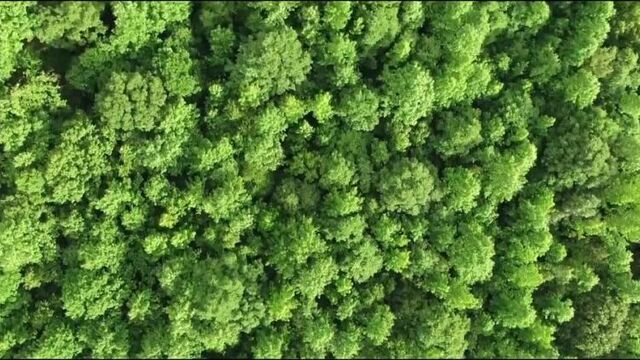 Video by аудио рассказы. истории измен. истории из жизни.