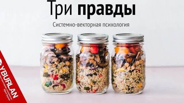 Три правды. системно-векторная психология. юрий бурлан