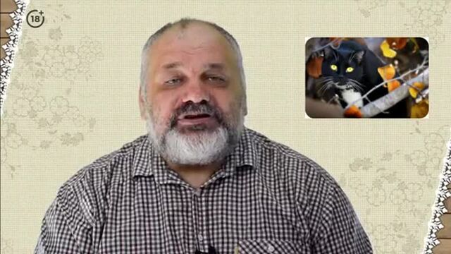 Толкование карт таро для начинающих. кот на карте королева жезлов __ символика т