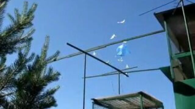 Голубятники