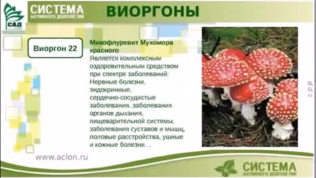 Флуревиты. обзор виоргонов с 15 по 29 й. аклон