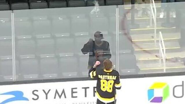 Давид пастрняк и болельщики «бостона»