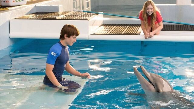 История дельфина 2 (2014) - трейлер на русском