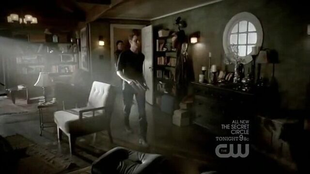 Дневники вампира - 3.16 - деймон: дорогой дневник.. (озвучка кубик в кубе)