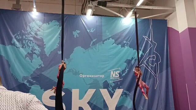 Минина полина,денисова дарья