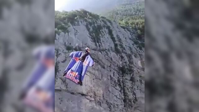 Белки - летяги нервно курят в сторонке