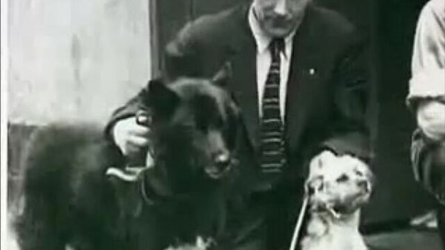 Балто. история создания