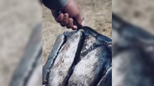 Вызвал на поединок говорящего медведя, и..