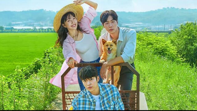 Дорама "неожиданный деревенский дневник" 1/12