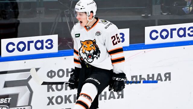 Ярослав лихачёв забрасывает ска