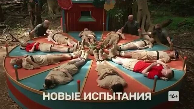 Звёзды в африке 2