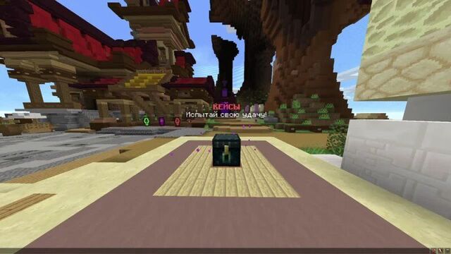 Новые кейсы с анимациями