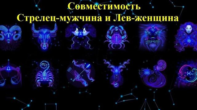 Совместимость стрелец-мужчина и лев-женщина