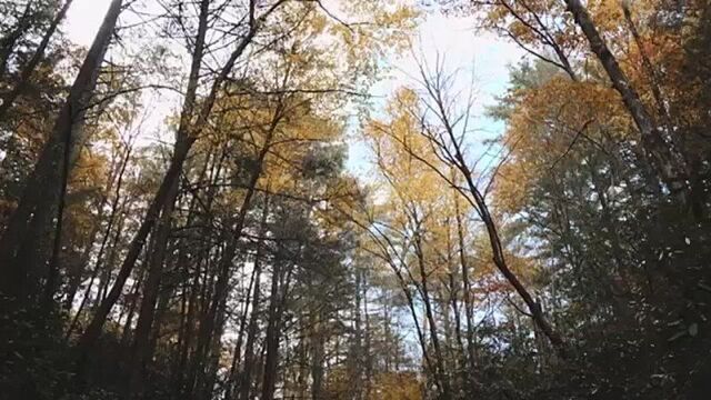 Гио пика - "листопадом", отрывок нового трека