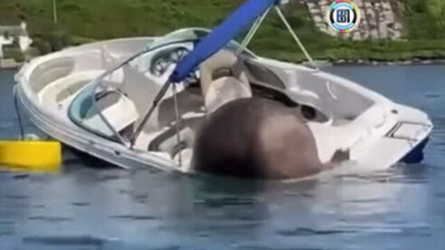 Богато жить не запретишь