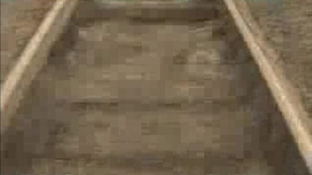 Андрей заря-вася корж