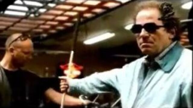 Борн ту би вайлд