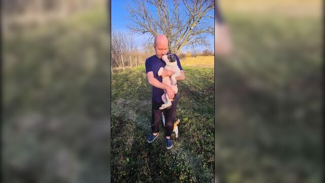 Американский булли щенок продается на 30.03.22