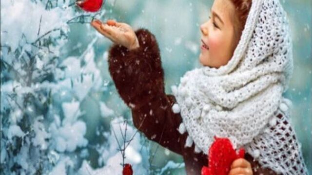 Василий белов "птички- рукавички".