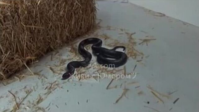 Video by типичный неудачник