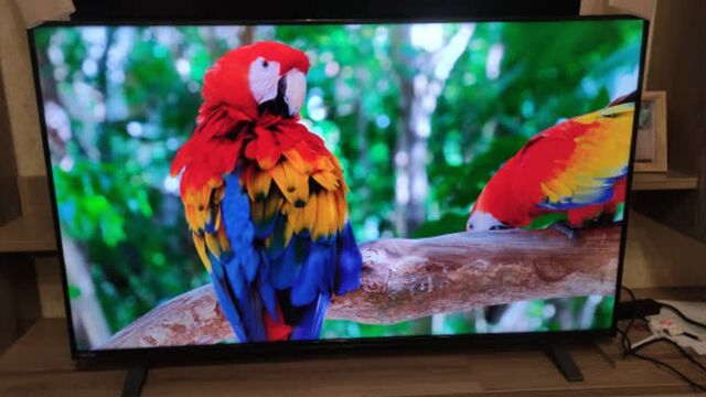 Телевизор 50 дюймов toshiba 50u5069