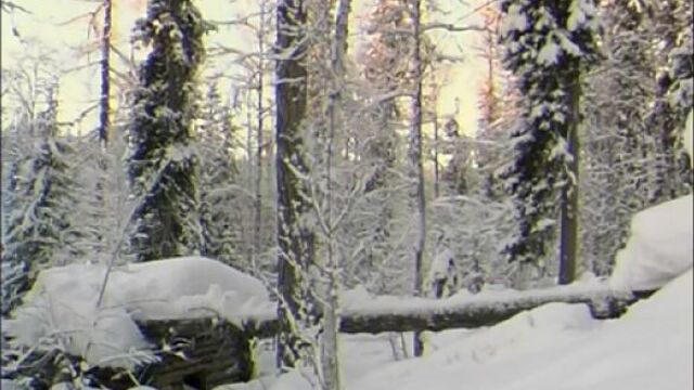 Счастливые люди _ енисей _ зима (серия 4) _ дмитрий васюков