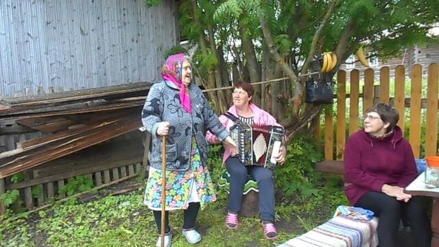 Частушки под гармонь