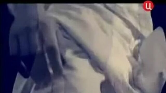 Андреас везалий. видеоуроки биологии на egebio.ru