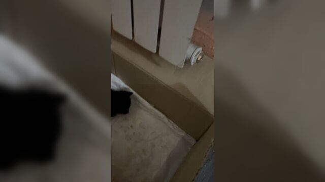 Video by подслушано ивангород [ивн]