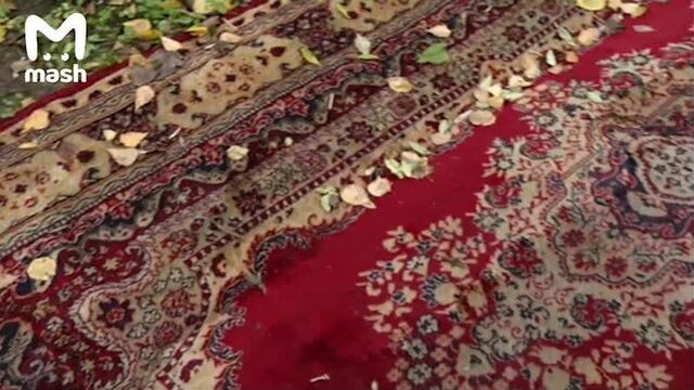 В калининграде прямо посреди улицы выложили дорожку из ковров