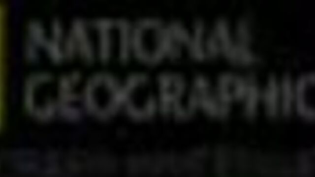 Катастрофа над боденским озером