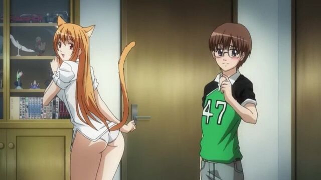 Neko song asobi ni iku yo! animewebm