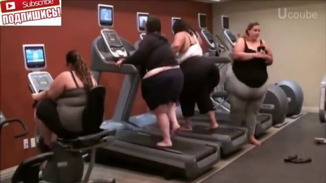 Top 10 funny videos подборка лучших приколов (18+ )